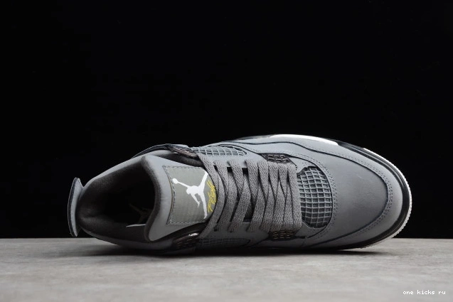 Chep Onekick Air Cool Jordan Grey (2019) 308497-007 4 Retro 0601